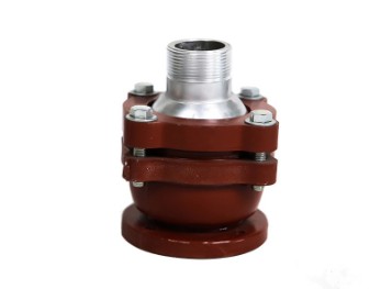 �f������DƬ